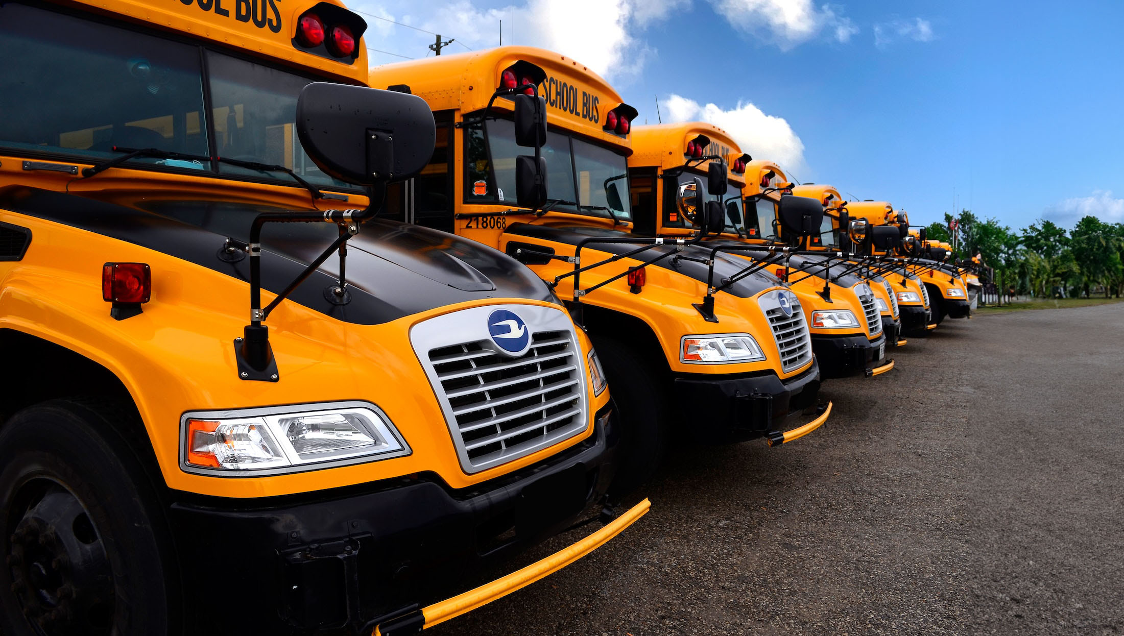 School Buses